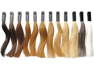 Human Hair Colour Swatch for Colour Training