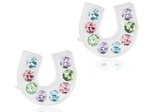 Blomdahl Medical Plastic Earrings – Brilliance Horseshoe