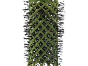 Swiss Perm Rollers – 25mm, Green, 6/Pack