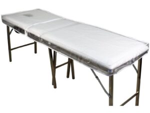 Vinyl Transparent Bed Cover