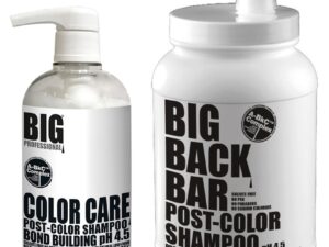 BIG Professional Color Care Post-Color Bond Building Shampoo