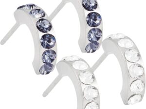Blomdahl Natural Titanium Earrings – Brilliance Curved