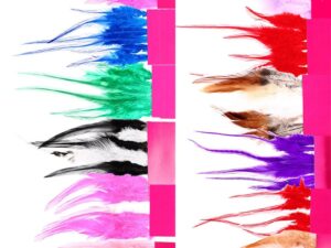 6 Feather Hair Extension